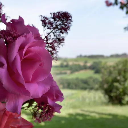 Belvilla By Oyo Portico Del Tasso *